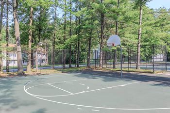 Basketball Courts