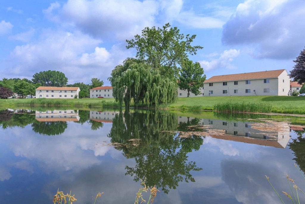 a tree is reflected in the water in front of a building