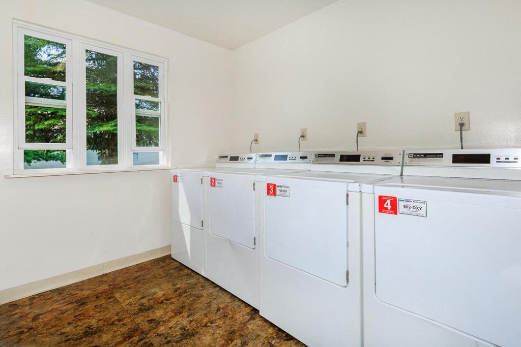 a group of washers and dryers in a laundry room