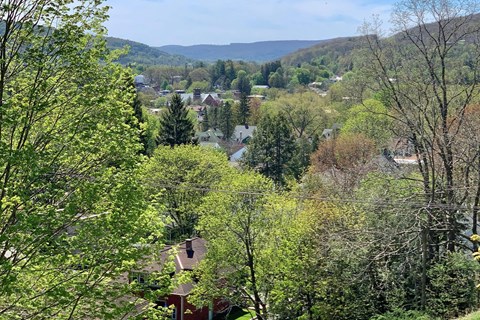a view of a town from a tree covered hillside