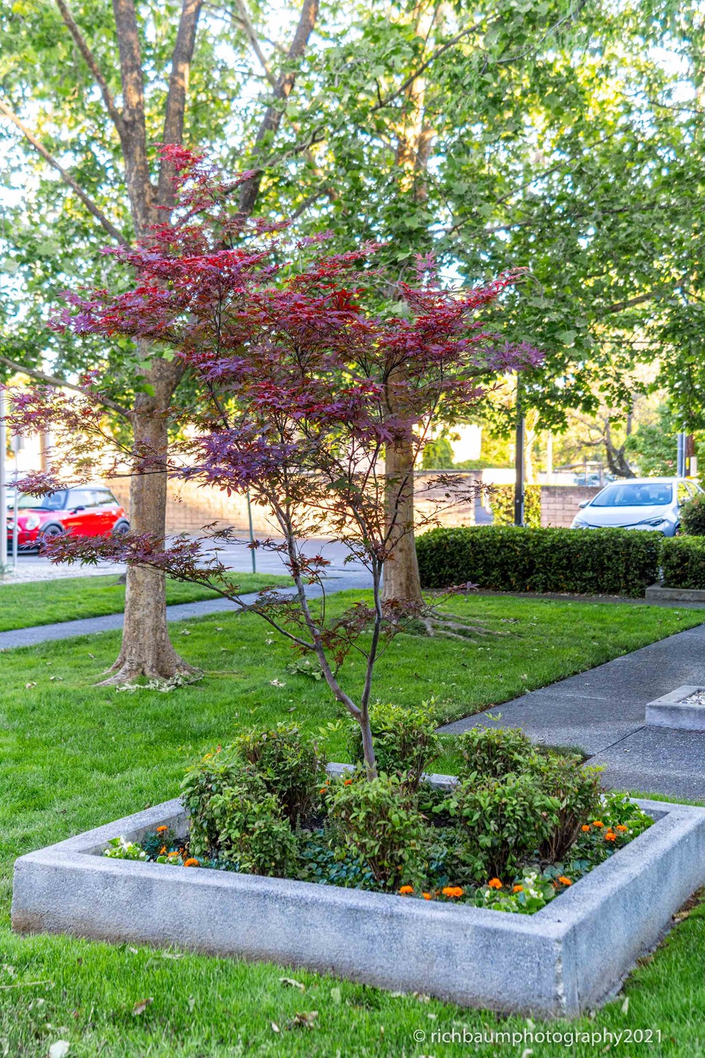 Sycamore Lane Apartments