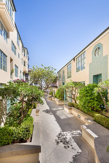 1059 Union St. Studio-2 Beds Apartment for Rent - Photo Gallery 5