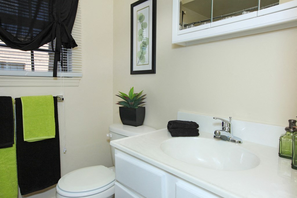 a bathroom with a sink and a toilet and a window
