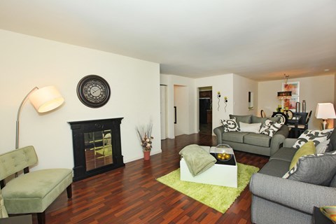 a living room with couches and chairs and a fireplace