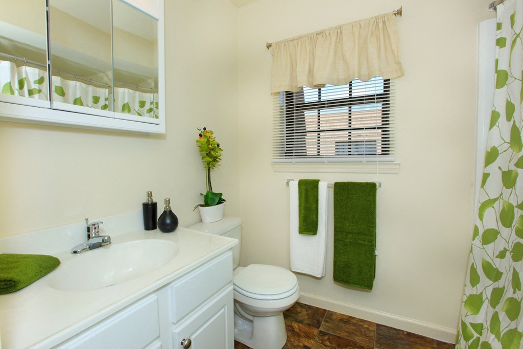 a bathroom with a toilet sink and mirror and a window