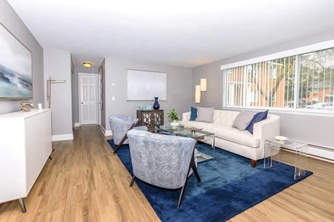 a living room with a blue rug and a white couch