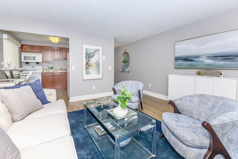 a living room with couches and a glass coffee table