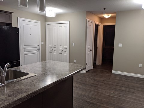 A kitchen with a sink and cabinets.