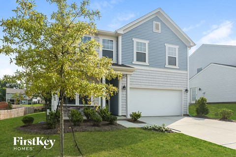 a blue house with a tree in the front yard