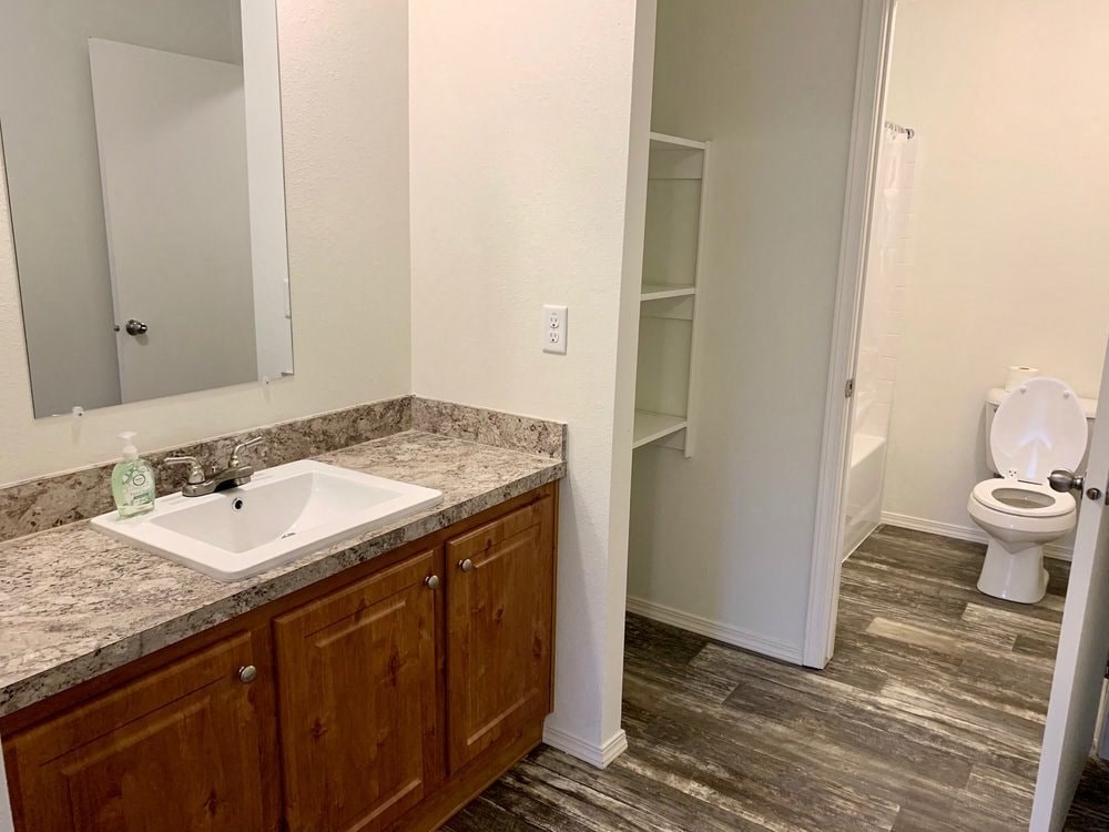 a bathroom with a sink and a toilet and a mirror