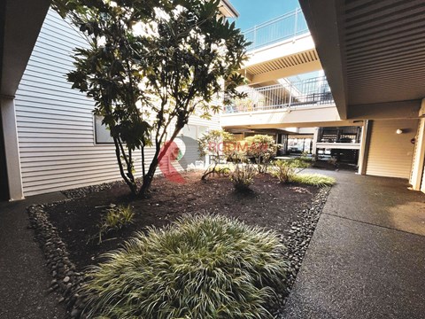 A tree in a landscaped area in front of a building.