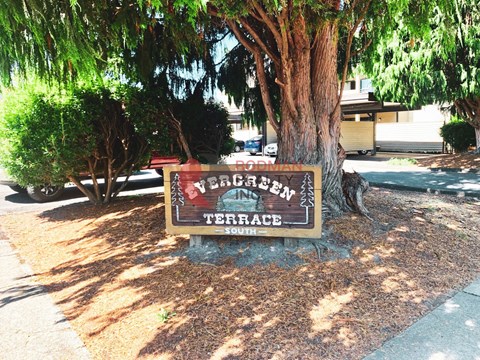 A sign for a place called "Congasen Terrace" is mounted on a tree.