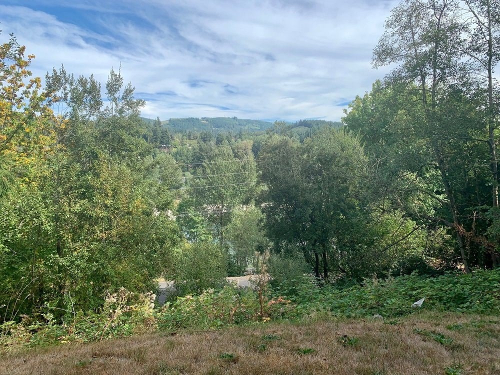 a view of the woods and a river from a hill