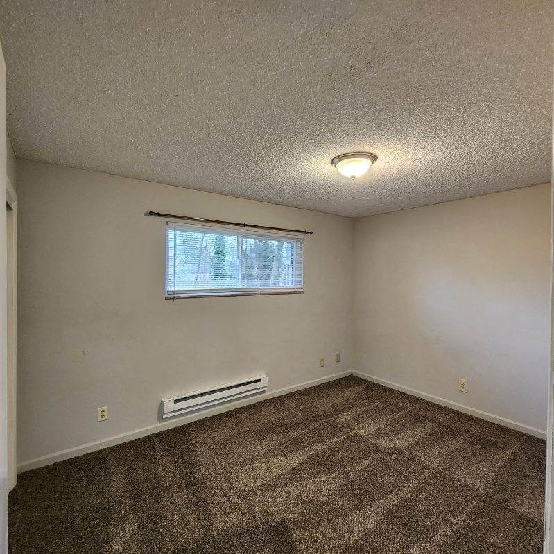 an empty living room with a window and carpet