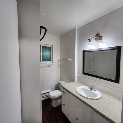 a bathroom with a sink and a toilet and a mirror