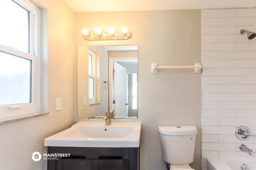 a bathroom with a sink and a mirror and a toilet