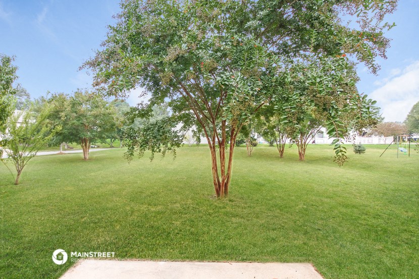 a park with green grass and trees