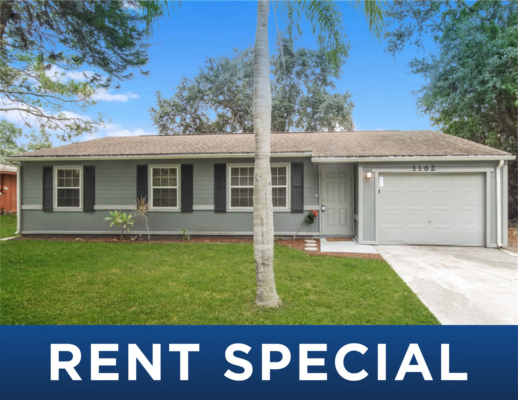 a house with a yard and arent special