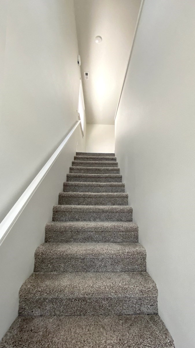 A staircase with a carpeted runner and white handrails.