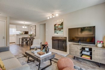 Living Room with Fireplace - Photo Gallery 14