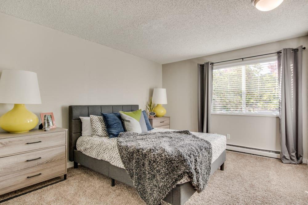 Bedroom with Large Window