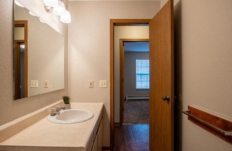 A bathroom with a white sink and a mirror.