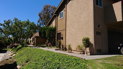 7846 Camino Raposa 3 Beds Apartment for Rent