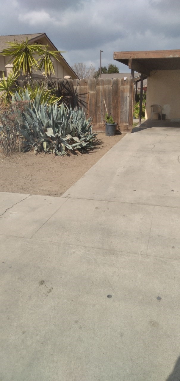 a concrete walkway with a house and plants in the background