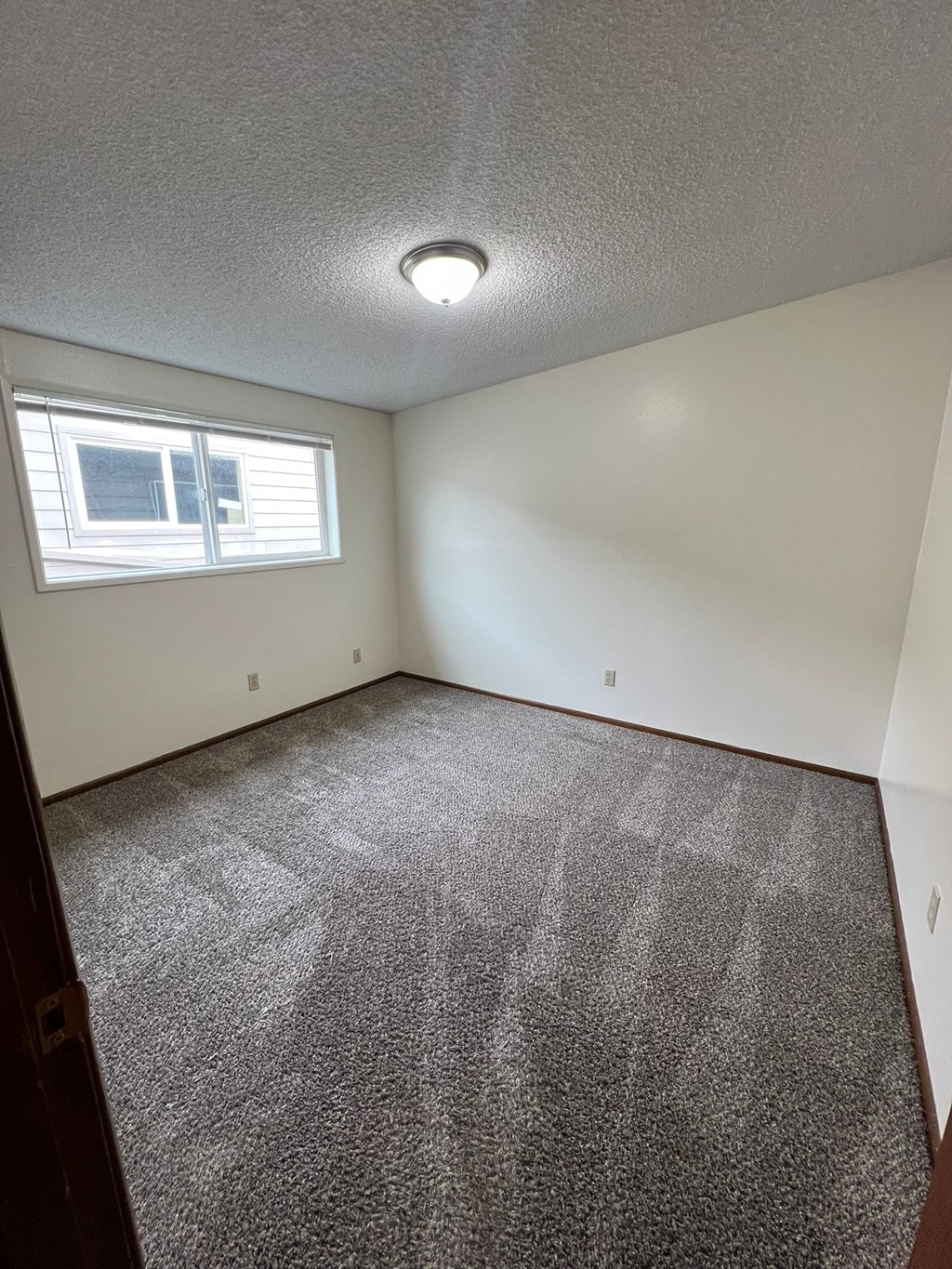 A room with a carpeted floor and a window.