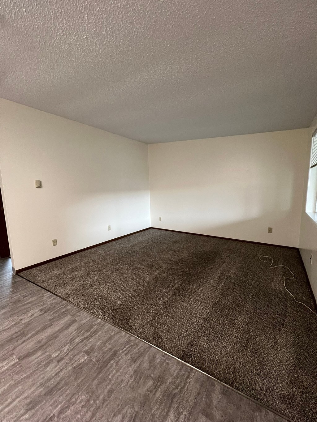 A room with a brown carpet and wooden flooring.