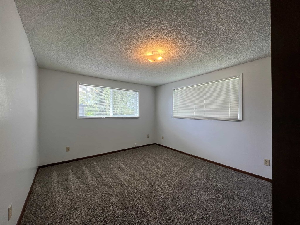 A room with a carpeted floor and two windows.