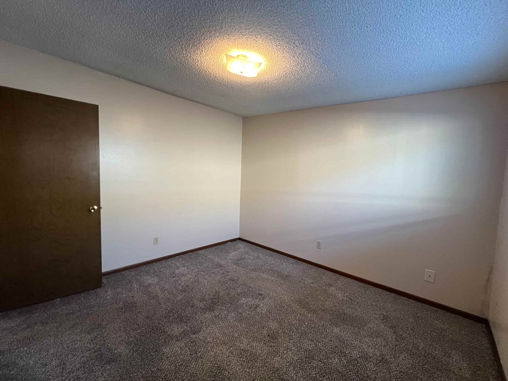 A room with a carpeted floor and a ceiling light.