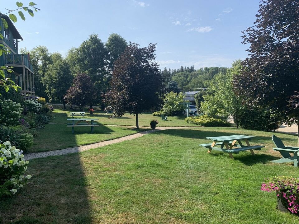 A sunny day in a park with picnic tables and benches.