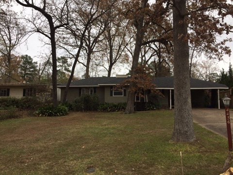 A house with a grey roof and a tree in front.