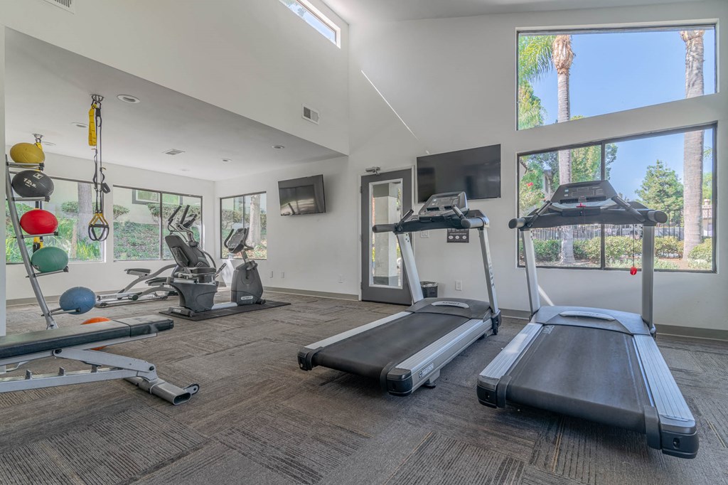 the gym is equipped with treadmills and other fitness equipment