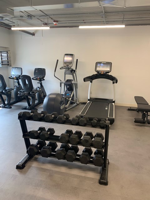 A gym with a row of dumbbells in the foreground.