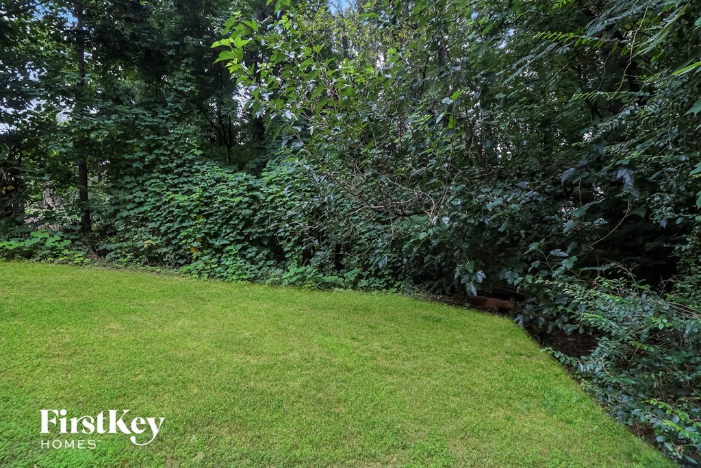A lush green lawn with a dense forest in the background.