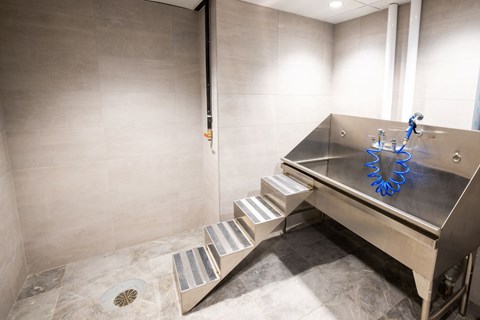 a large bathroom with a stainless steel sink and steps to a shower