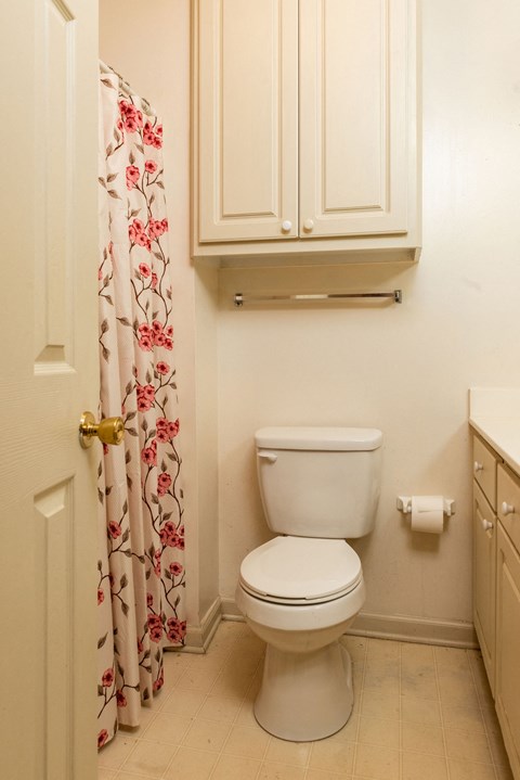 a bathroom with a toilet and a shower curtain
