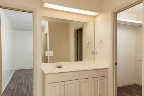 a bathroom with a sink and a large mirror