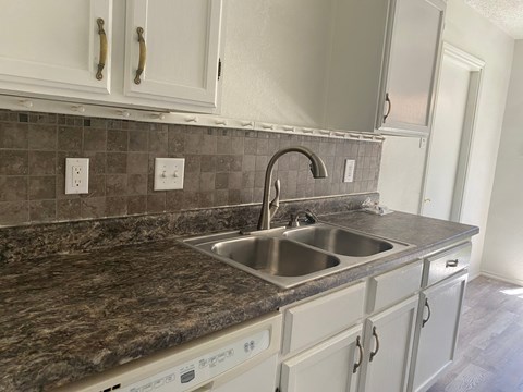 A kitchen with a sink and a dishwasher.