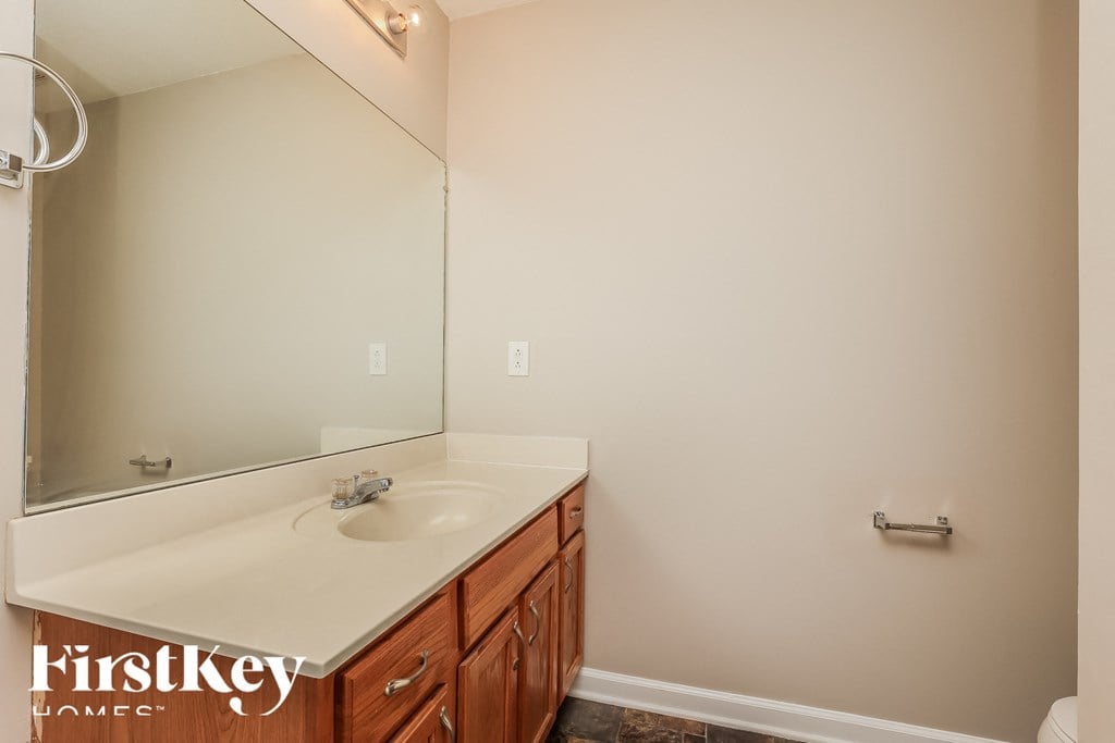 a bathroom with a sink and a large mirror