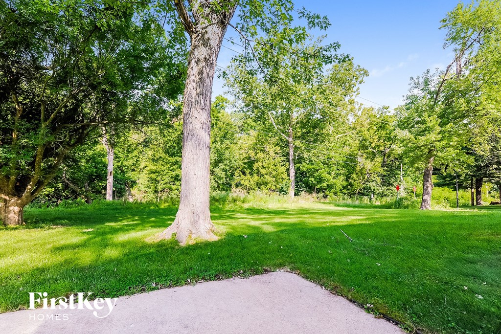 A tree in a grassy area with a FirstKey Homes logo.