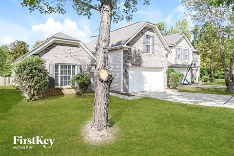 a tree in the front yard of a house