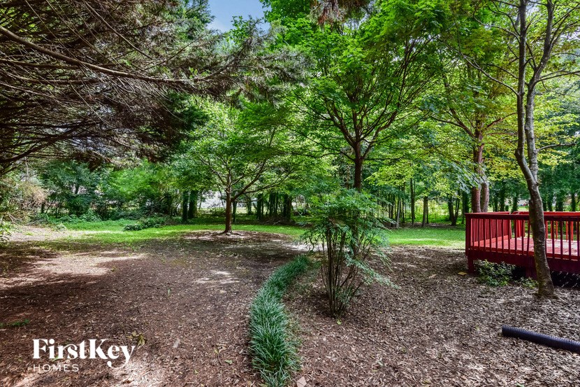 a red bench sitting in the middle of a park