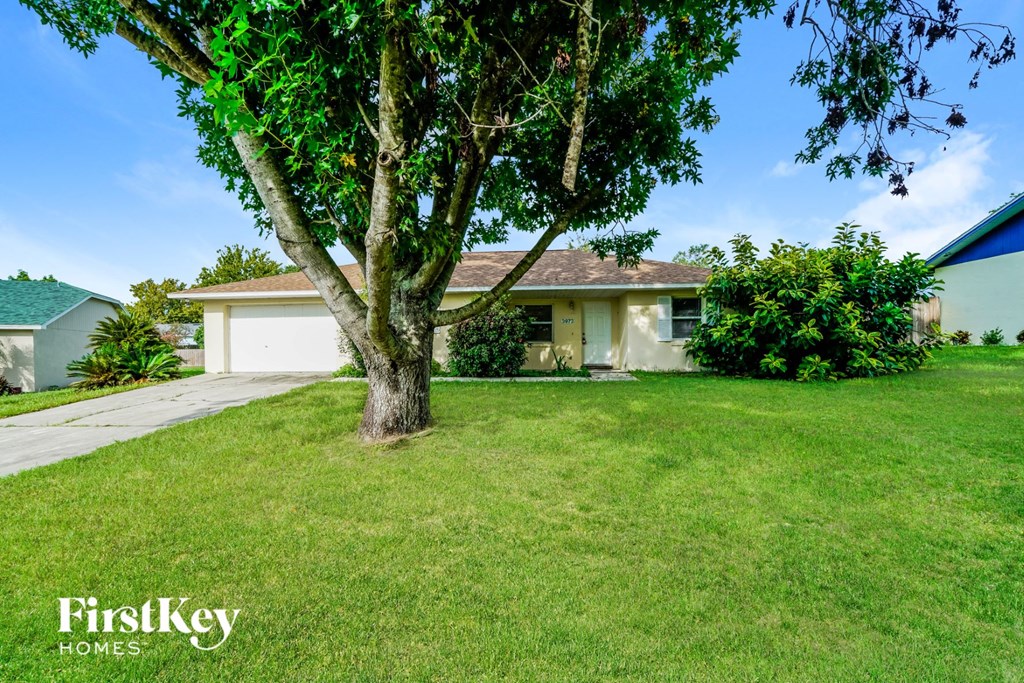 a yard with a tree in front of a house
