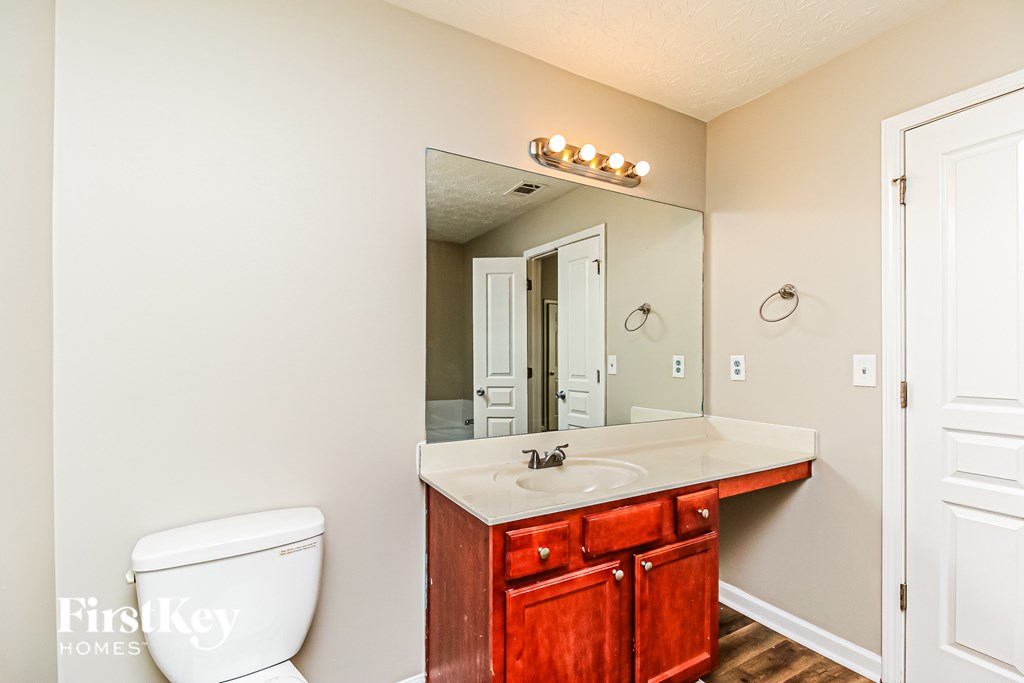A bathroom with a white toilet and a vanity with a mirror above it.