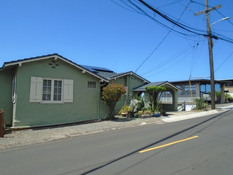 A green house with a white window and a small garden in front.