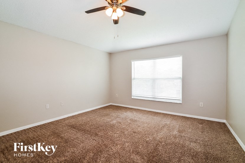 a carpeted room with a ceiling fan and a window