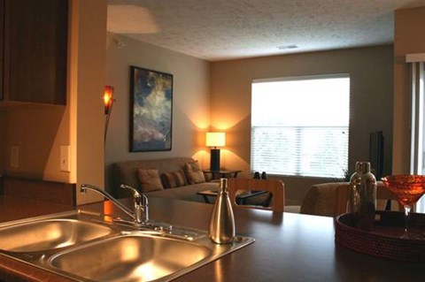 A kitchen with a stainless steel sink and a red glass bowl on the counter.